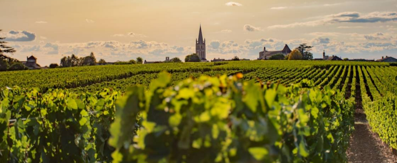 Exclusive Bordeaux